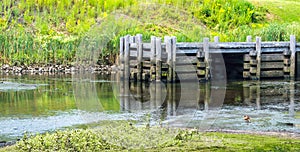 Abandoned wooden pier with pilings on a shallow river