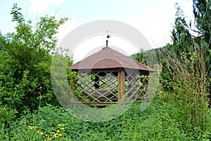 Abandoned wooden well with decorated walls and roof surrounded with overgrown vegetation