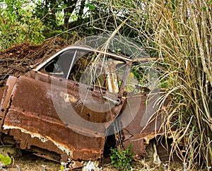 Abandoned Wrecked Brown Car in Field and Weeds
