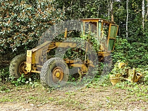 Abandoned yellow grader overgrown by jungle vegetation near border between Nigeria and Cameroon, Africa