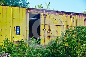 Abandoned Yellow Shipping Container in Nature, Rusted and Overgrown