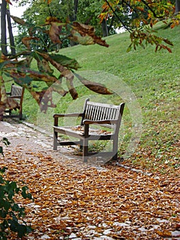 Opustená lavička, jeseň v Brne