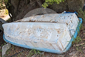 Abandonned hull boat near a tree