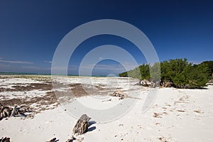 Abandonned white sand beach on a sunny day