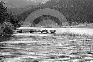 Abant Lake View, Black and White