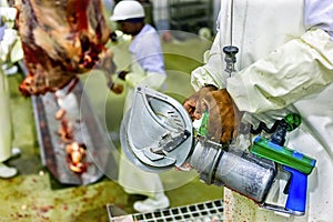 Abattoir meat saw and african butcher