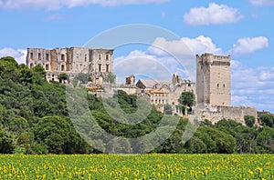 Abbaye de Montmajour