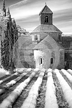 Abbaye de Senanque