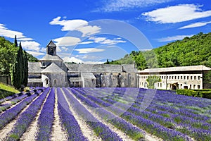 Abbaye de Senanque with blooming lavender field photo