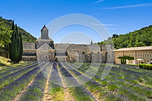 Abbaye de Senanque and lavender, France