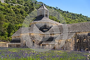 Abbaye de Senanque and lavender, France