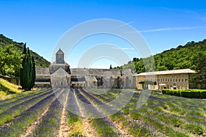 Abbaye de Senanque and lavender, France