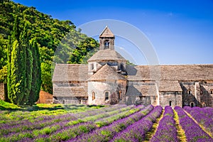 Abbaye de Senanque, Provence lavender in France photo