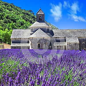 Abbaye with lavender field, Provence, Fran