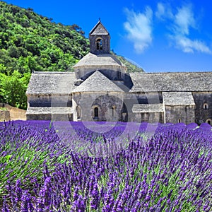 Abbaye with lavender field, Provence, Fran photo