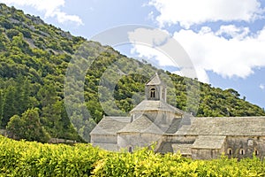 Abbey de Senanque, Gordes. Provence