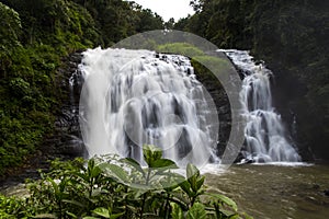 Abbey falls in the coorg region