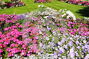 Abbey Gardens flowerbeds, Evesham. photo