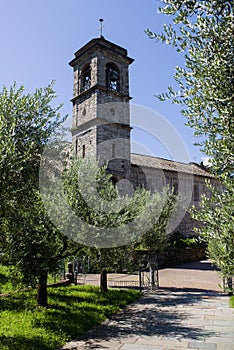Abbey of Piona,Olivi garden of the church of San Nicola