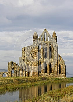 Abbey Ruins