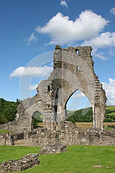 Abbey Ruins photo