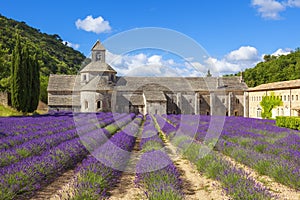 Abbey of Senanque