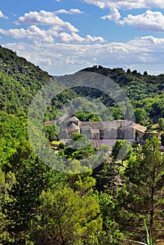 Abbey of Senanque