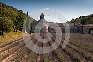 Abbey of Senanque, Gordes, France photo