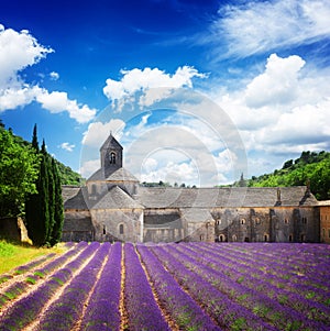 Abbey Senanque and Lavender field, France