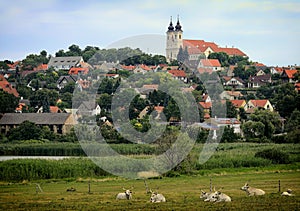 The Abbey in Tihany