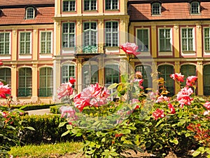 Abbots palace and flowers in gdansk oliva park