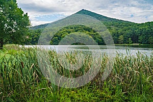 Abbott Lake and Sharp Top Mountain, Bedford County, Virginia, USA