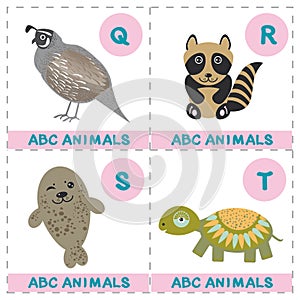 ABC alphabet for kids. Set of funny turtle raccoon fur seal quail cartoon animals character. Cards for the game. Zoo isolated on w