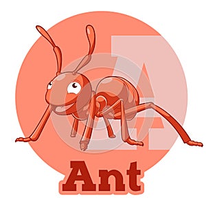 ABC Cartoon Ant