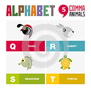 Abc English alphabet animal icon set vector illustration