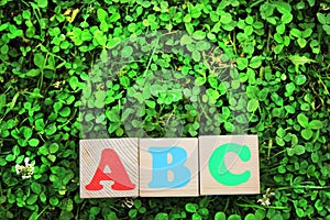 ABC -the first letters of the English alphabet on wooden toy blocks on the grass