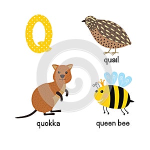 ABC letter Q funny kid icons set: quokka, quail, queen bee