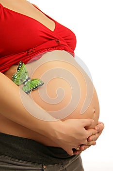 Abdomen of a pregnant woman