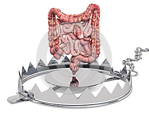 Abdominal pain concept. Human intestines inside bear trap. 3D rendering