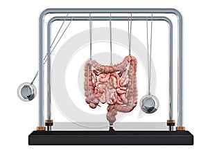 Abdominal pain concept. Newton`s cradle with bowel. 3D rendering