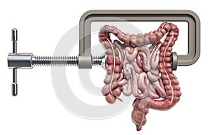 Abdominal pain concept. Vise with human bowel. 3D rendering