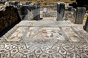 Abduction of Hylas by the Nymphs mosaic at Volubilis in Morocco. 