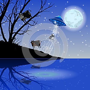 Abduction UFO flying cow. Illustration