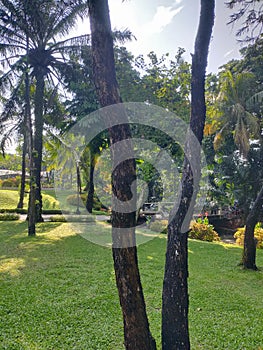 THE ABDURRAHMAN PARK