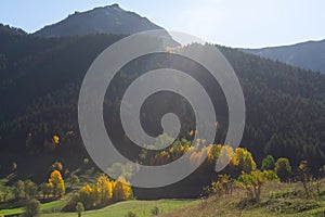 ABeautiful summer landscape in Savsat, Artvin province, Turkey