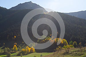 ABeautiful summer landscape in Savsat, Artvin province, Turkey