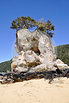 Abel Tasman national park, New Zealand