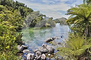 Abel Tasman natural park, New Zealand