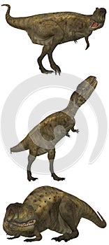 Abelisaurus