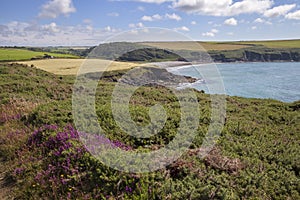 Aber Mawr, Pembrokeshire